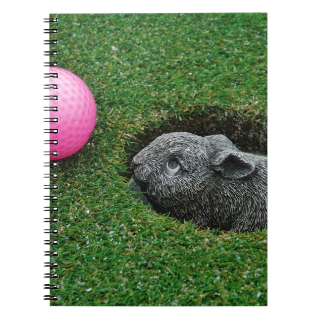 DSCF0652.JPG NOTEBOOK (Front)