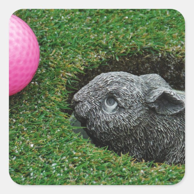 DSCF0652.JPG SQUARE STICKER (Front)