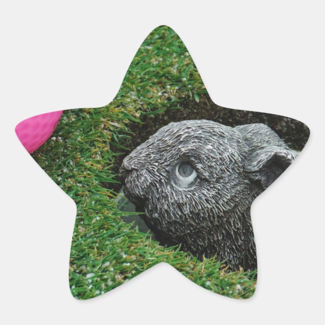 DSCF0652.JPG STAR STICKER (Front)