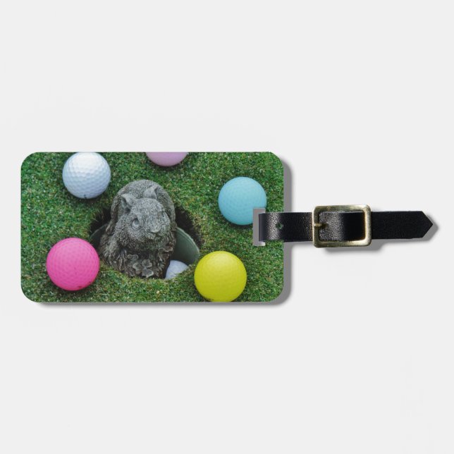 DSCF0698.JPG LUGGAGE TAG (Front Horizontal)