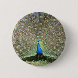 DSCF1062 2 INCH ROUND BUTTON