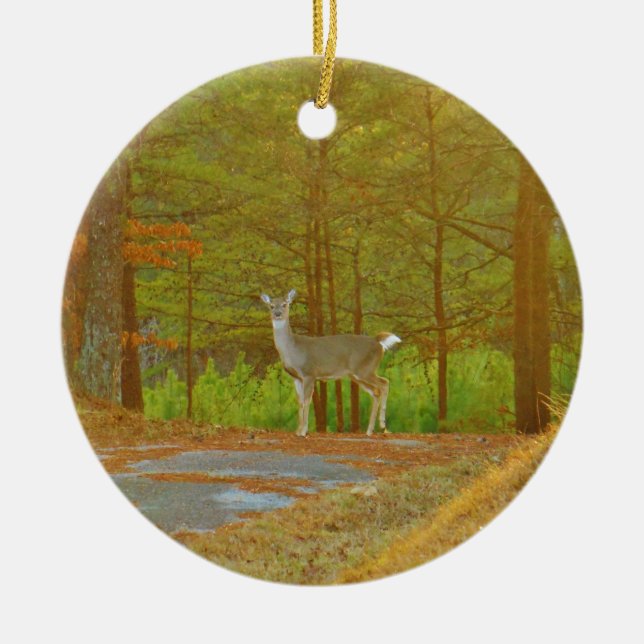 DSCF4041.JPG CERAMIC ORNAMENT (Front)