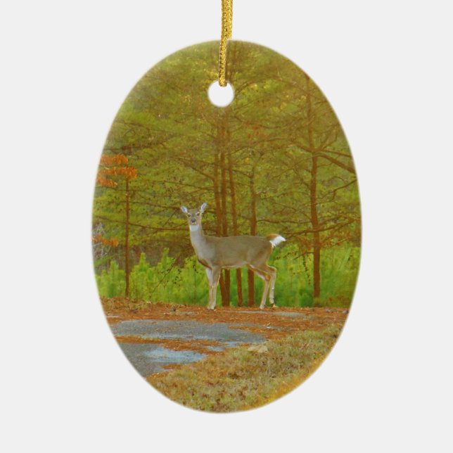 DSCF4041.JPG CERAMIC ORNAMENT (Front)