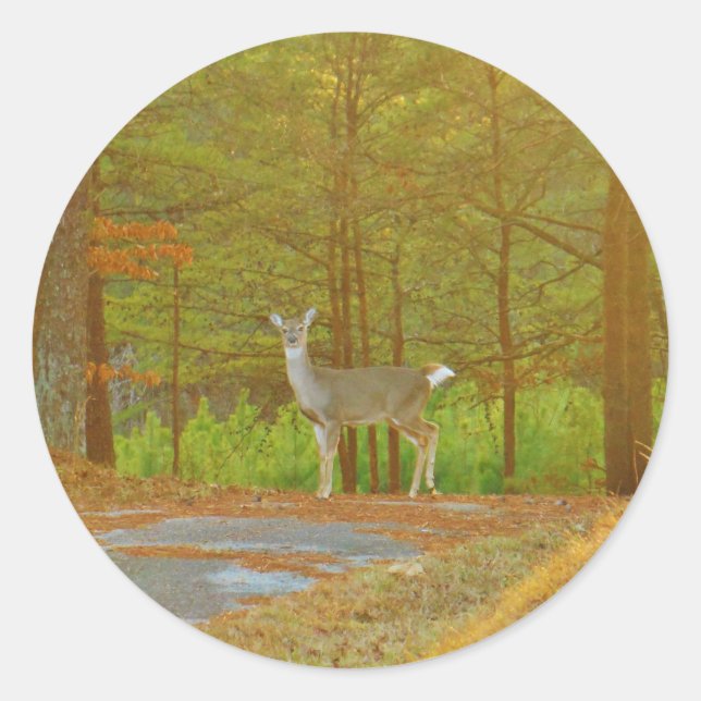 DSCF4041.JPG CLASSIC ROUND STICKER (Front)