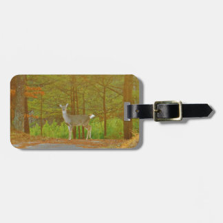 DSCF4041.JPG LUGGAGE TAG