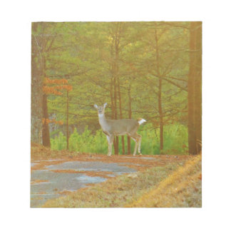 DSCF4041.JPG NOTEPAD