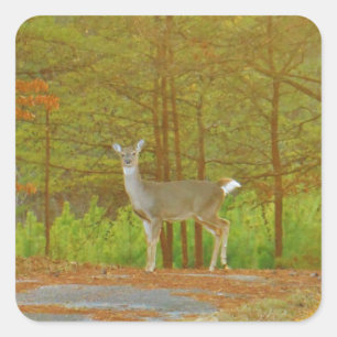 DSCF4041.JPG SQUARE STICKER