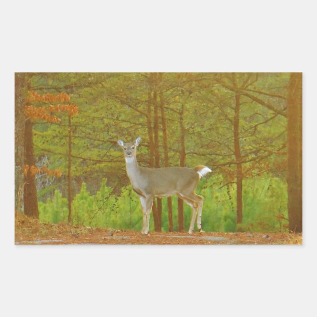 DSCF4041.JPG STICKER (Front)