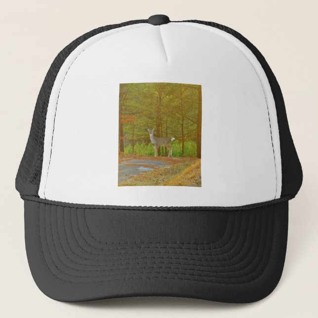 DSCF4041.JPG TRUCKER HAT (Front)