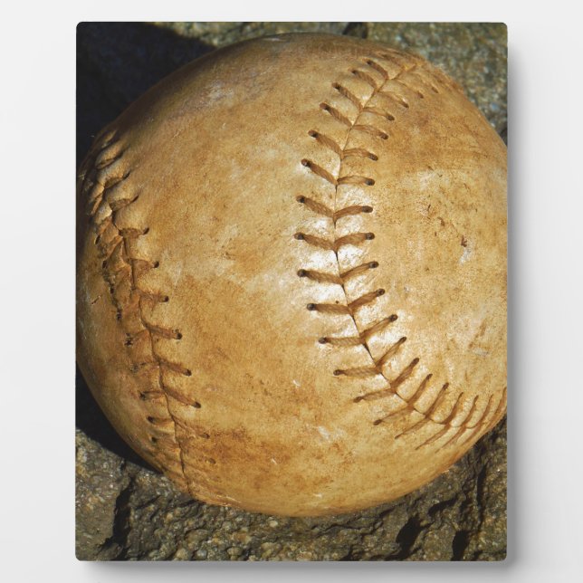 DSCF7523.JPG PLAQUE (Front)