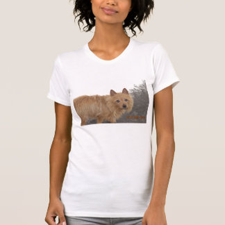 DSCN0567 T-Shirt