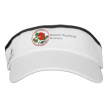 DSE Visor
