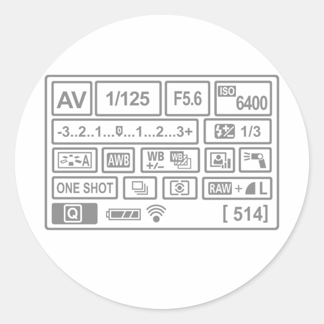 DSLR Setting Classic Round Sticker (Front)