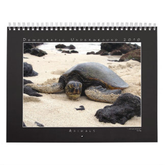 DU 2010 Photography Group Calendar