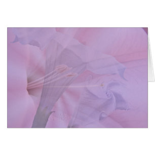 Du bourgeon à la fleur