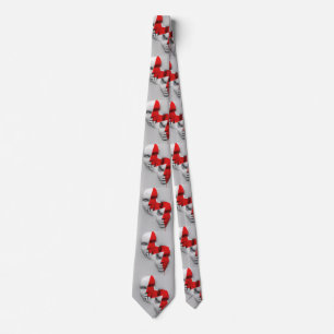 Dual Face Mask Tie