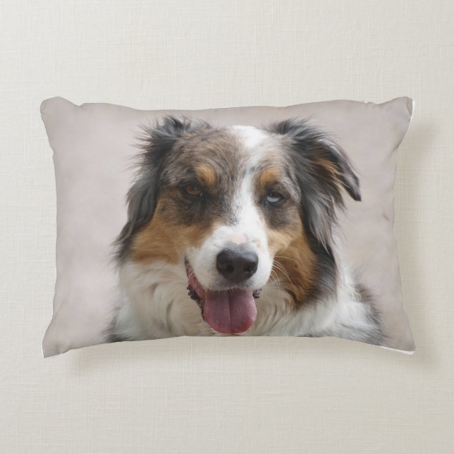 dual sided australian shepherd merle accent pillow (Front)