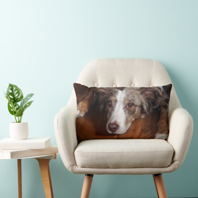dual sided australian shepherd red merle laying fl lumbar pillow (Chair)