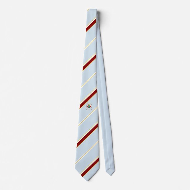 Dubai stripes flag tie (Front)