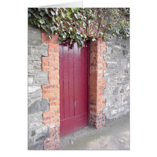 Dublin Door