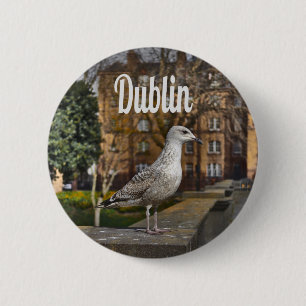 Dublin Ireland Bird on Brick Wall 2 Inch Round Button