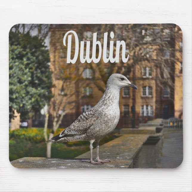 Dublin Ireland Bird on Brick Wall Mouse Pad (Front)