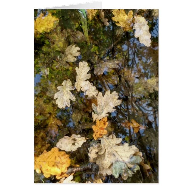 Dublin Leaves (Front)