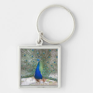 Dubrovnik,Croatia,Lokrum Island,colourful Keychain