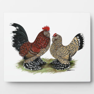 D'Uccle Bantams:  Mille Fleur Plaque