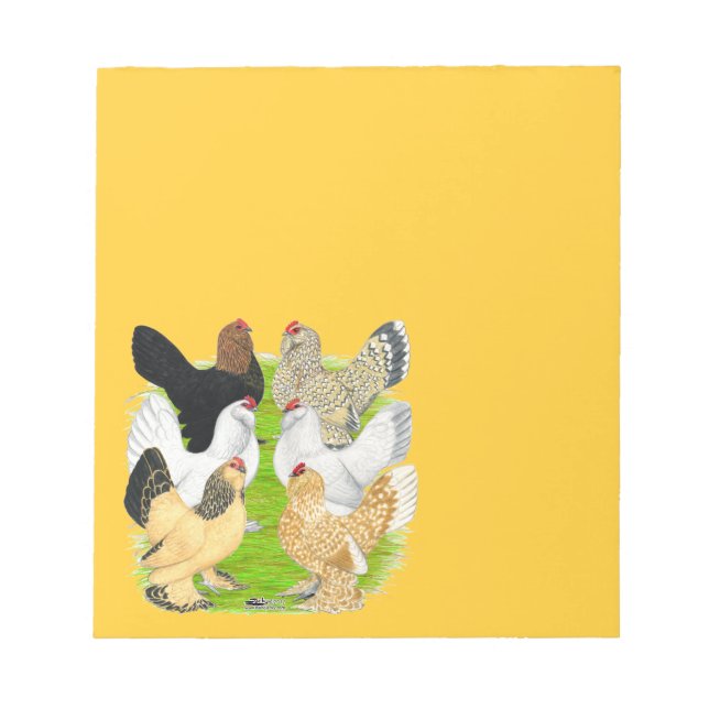 D'Uccles Six Hens Notepad (Front)