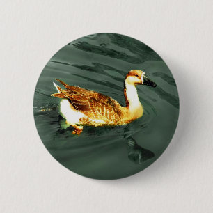 Duck 2 Inch Round Button