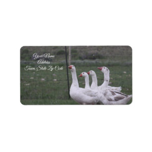 Duck Address Labels