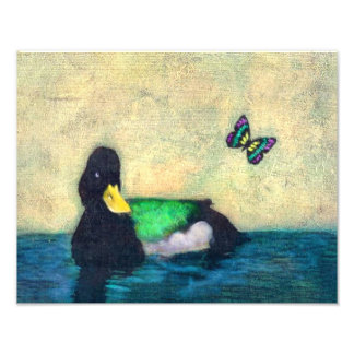 Duck And Butterfly Photo Print