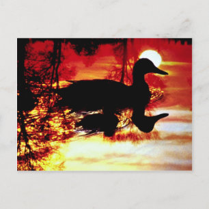 Duck and chick at sunset postcard