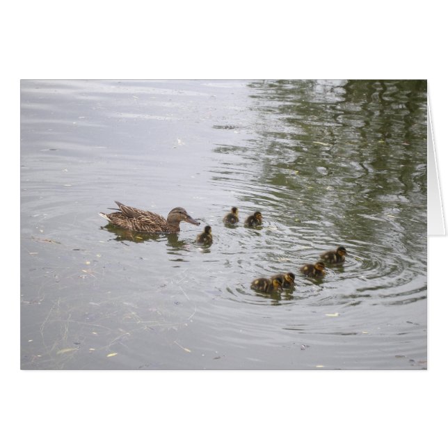 Duck and ducklings Card (Front Horizontal)