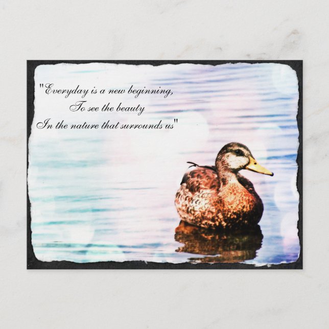 Duck Beauty Postcard (Front)