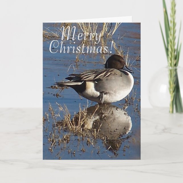 Duck Bird Animal Christmas Holidays Holiday Card (Front)