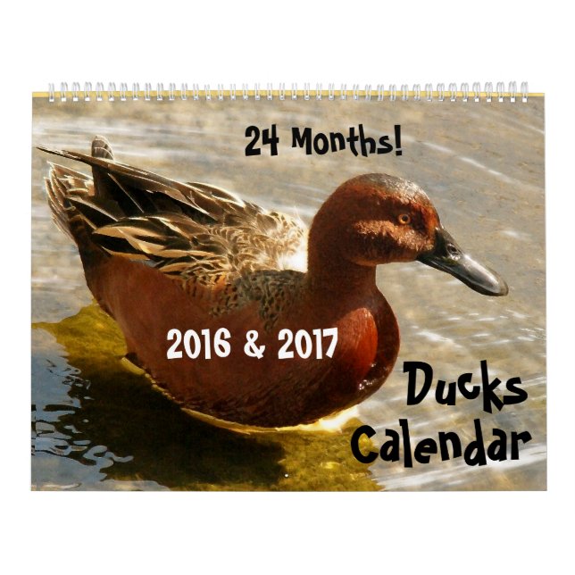 Duck Birds Wildlife Animals Duckling 2016 2017 Calendar (Cover)