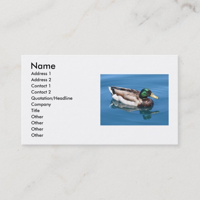 Duck Business Card (Front)