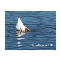 Duck Butt Humour Post Card