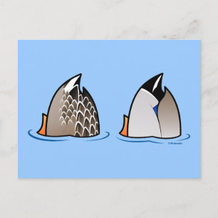Duck Butts Postcard