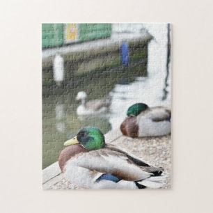 Duck by the Water Bird Nature Photography Jigsaw Puzzle