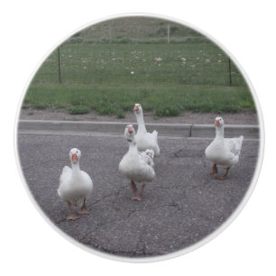 Duck Ceramic Knob