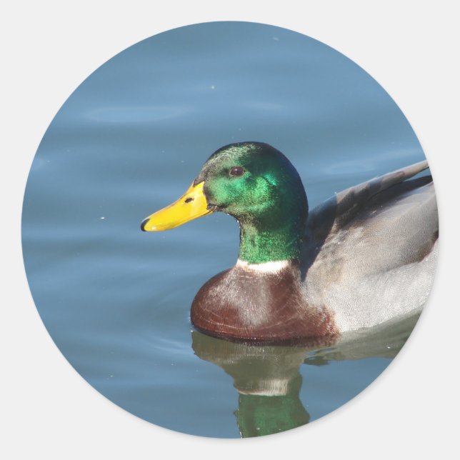 Duck Classic Round Sticker (Front)