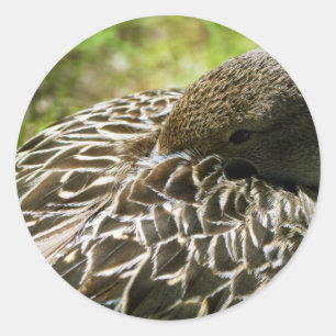 Duck Classic Round Sticker