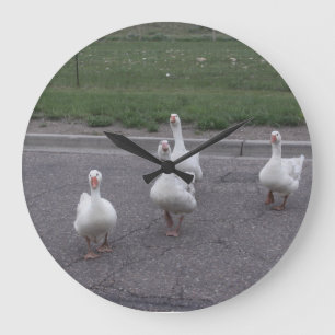Duck Clock
