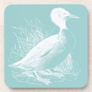 Duck Coaster
