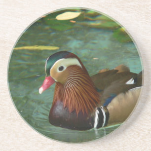 Duck Coasters