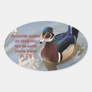 Duck Creation Sticker