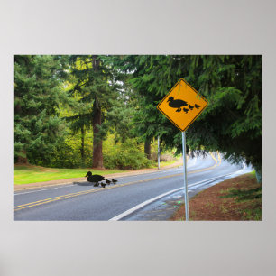 Duck Crossing Poster